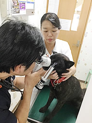 厚木ひまわり動物病院