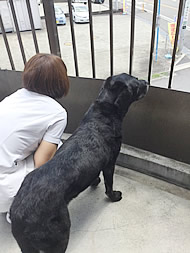 厚木ひまわり動物病院