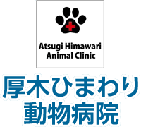 ＜公式＞厚木市、伊勢原市、海老名市｜厚木ひまわり動物病院｜小鳥、うさぎ、犬、猫の総合病院です。トリミングサロン併設